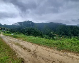 Land for Sale in Chitlang