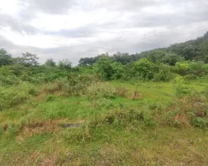 Land for sale at Pokhara